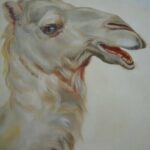 Reproduction par sophie darcas