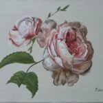 Reproduction par sophie darcas