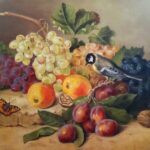 Reproduction par sophie darcas