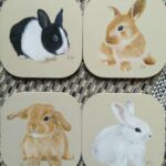 Reproduction par sophie darcas