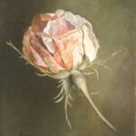 Reproduction par sophie darcas
