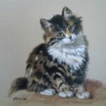 Reproduction par sophie darcas