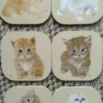 Reproduction par sophie darcas