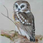 Reproduction par sophie darcas