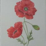 Reproduction par sophie darcas