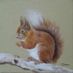 Reproduction par sophie darcas