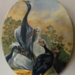 Reproduction par sophie darcas