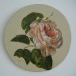 Reproduction par sophie darcas