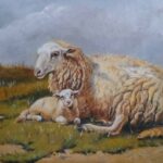 Reproduction par sophie darcas