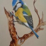 Reproduction par sophie darcas