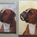 Reproduction par sophie darcas