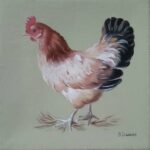 Reproduction par sophie darcas
