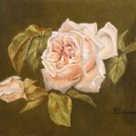 Reproduction par sophie darcas